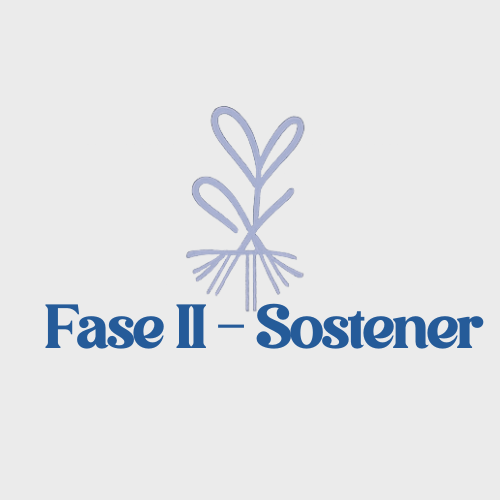 FASE II - Sostener / Camino bariátrico